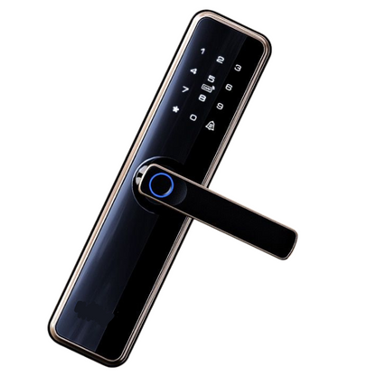 Smart Intelligent Wifi Door Lock - Black Tuya